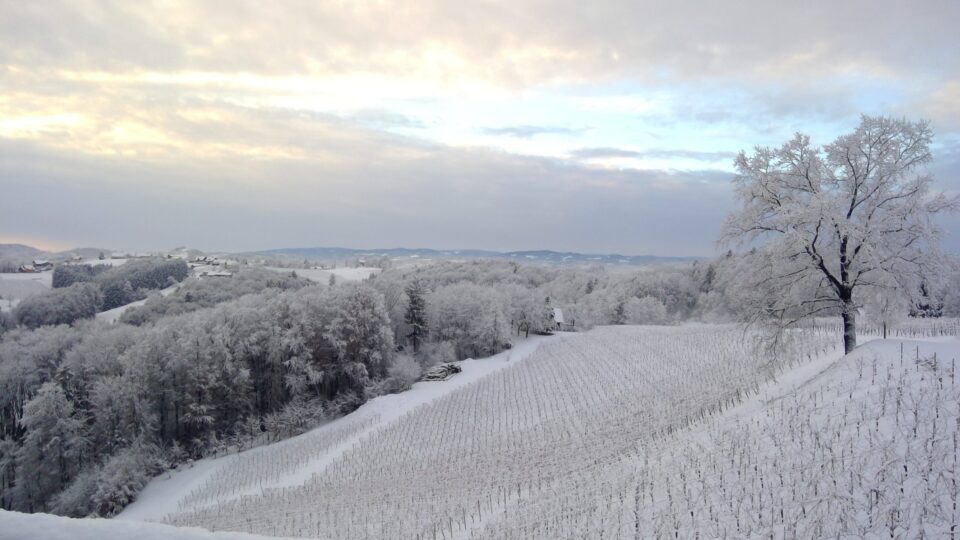 WIN_20211129_07_50_59_Pro