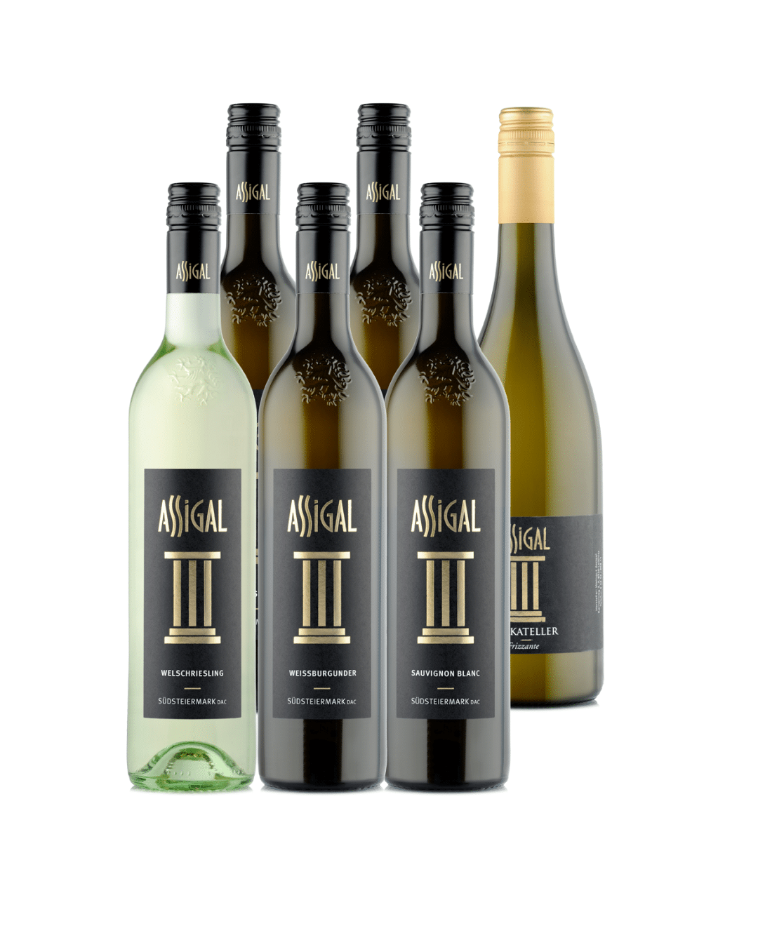 Kennenlernpaket Jahrgang 2025